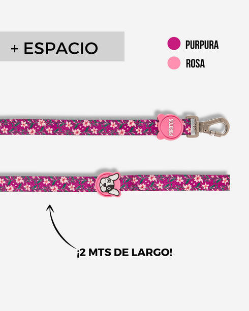 Correa Estándar Cerezo de 2 Mts