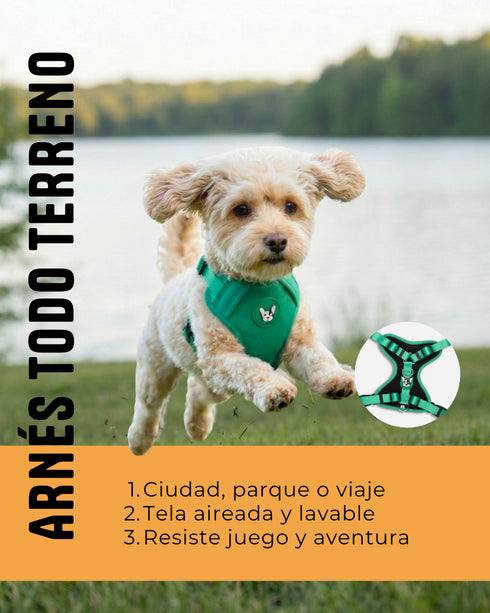 Arnes Doble Agarre Azul (acero)