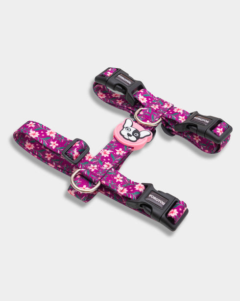 Pretal Freestyle Cerezo