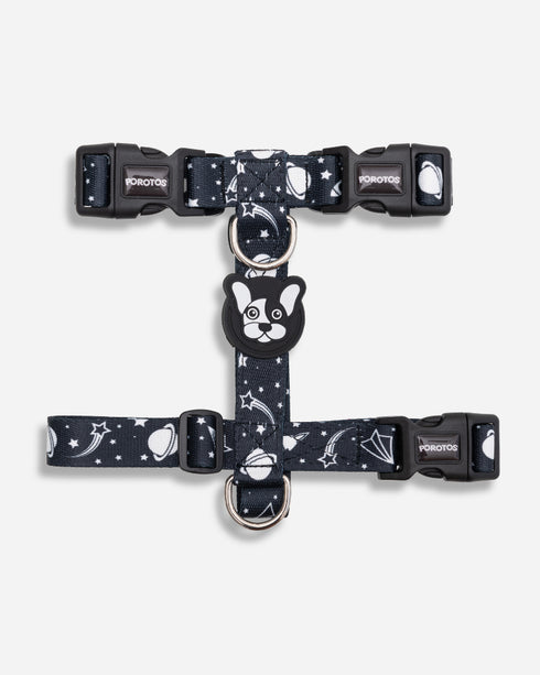 Pretal Freestyle Apolo