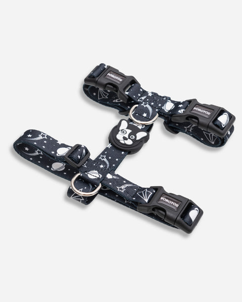 Pretal Freestyle Apolo