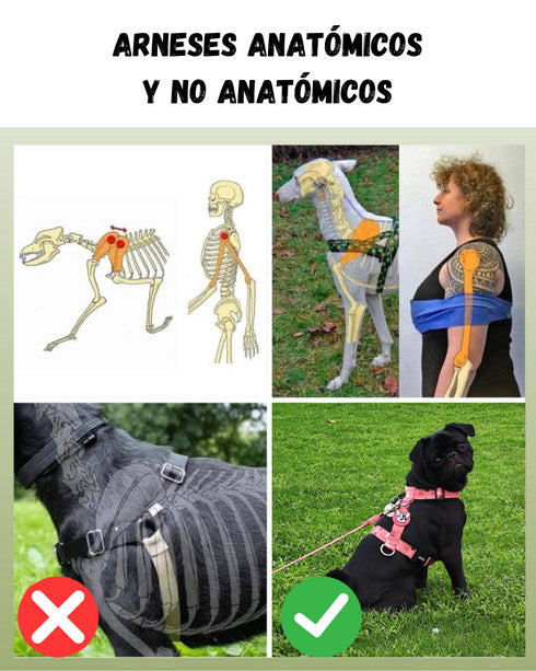 Arnes Doble Agarre Verde