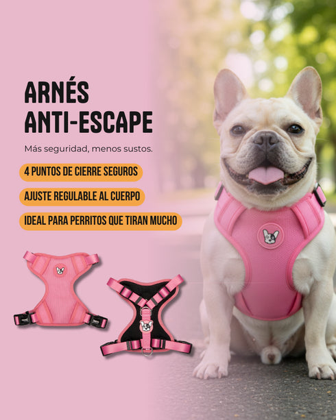 Arnes Doble Agarre Azul (acero)