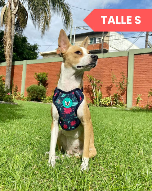 Arnes Doble Agarre Rosa