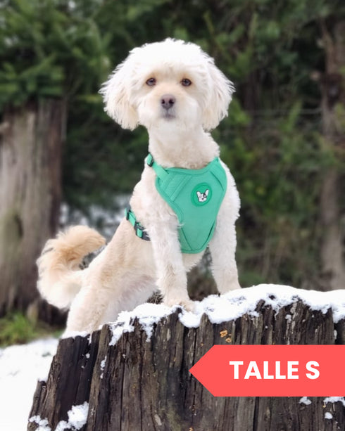 Arnes Doble Agarre Azul (acero)