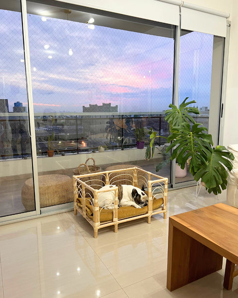 COMBO 1 "Cucha Presidencial + Colchón Simmons + Funda de regalo 50x70cm"