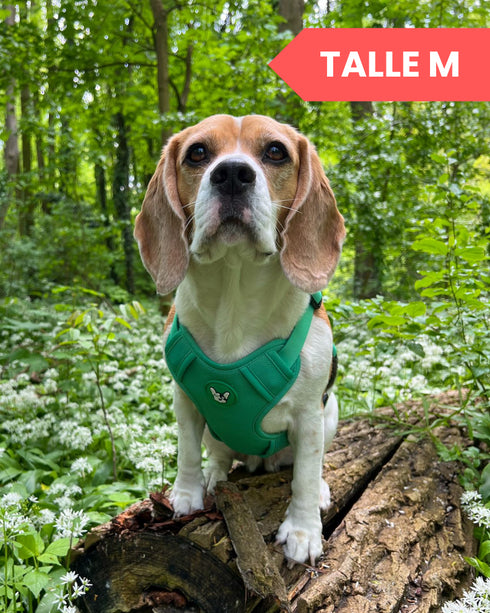 Arnes Doble Agarre Rocky Negro