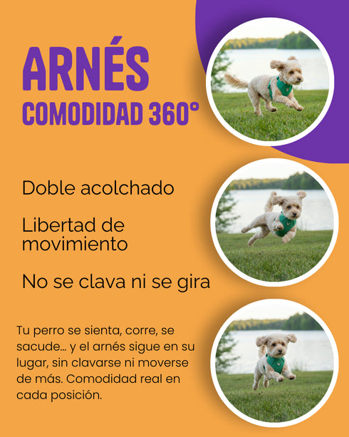 Arnes Doble Agarre Verde