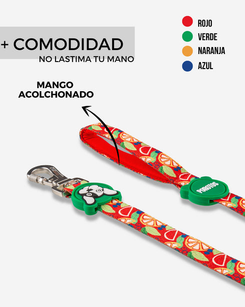 Correa Estándar Frutal de 2 Mts