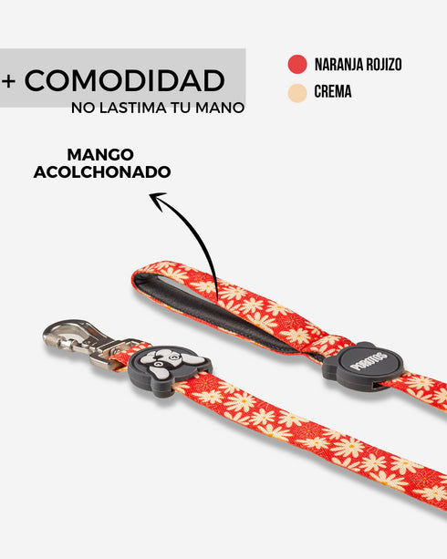 Correa Estándar Margarita de 2 Mts