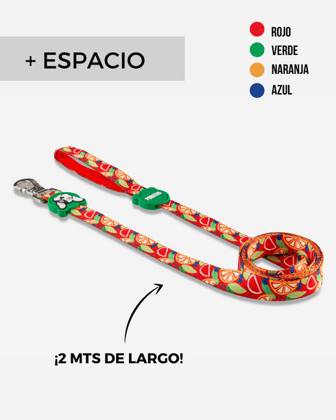 Correa Estándar Frutal de 2 Mts