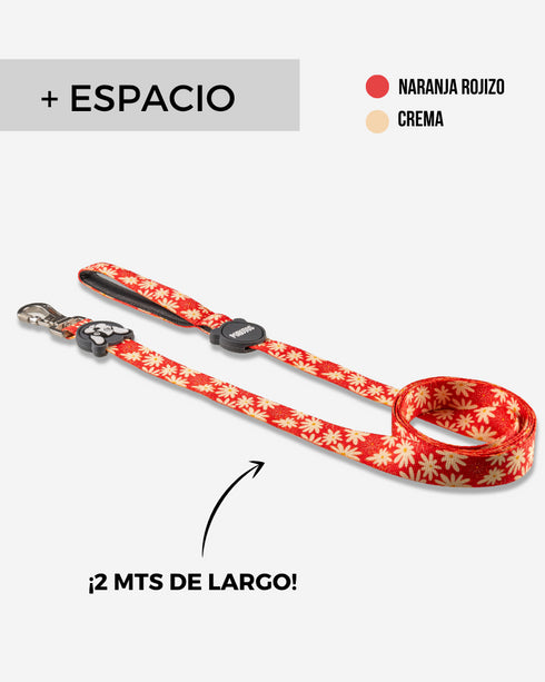 Correa Estándar Margarita de 2 Mts