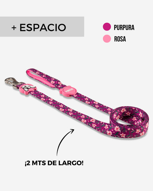 Correa Estándar Cerezo de 2 Mts