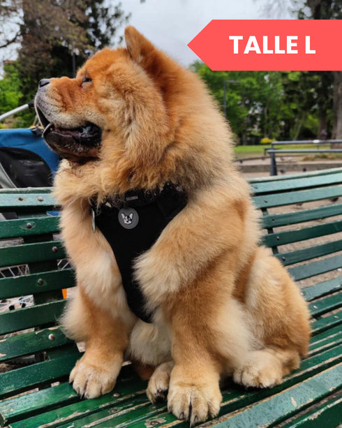 Arnés Doble Agarre Piñata