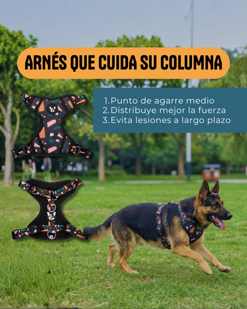 Arnes Doble Agarre Azul (acero)