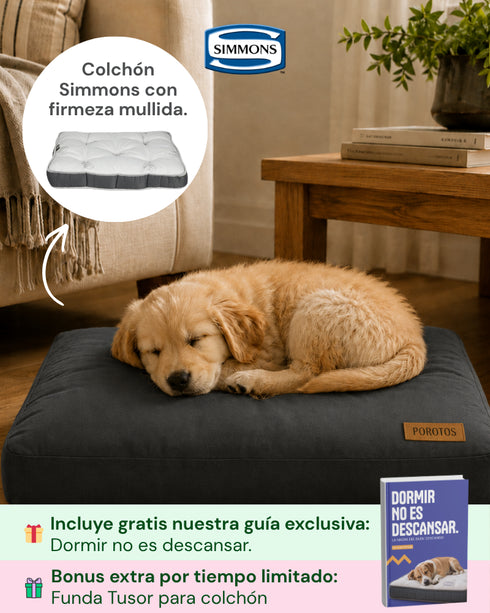Colchón Premium Simmons para Perros (50x70 cm) + Funda de regalo