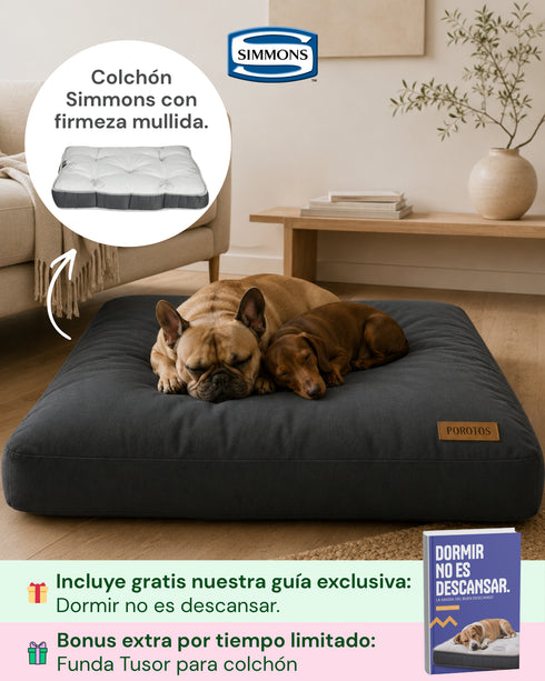 Colchón Premium Simmons para Perros (70x90 cm) + Funda de regalo