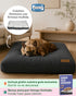 Colchón Premium Simmons para Perros (70x90 cm) + Funda de regalo