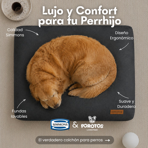Colchón Premium Simmons para Perros (70x90 cm) + Funda de regalo