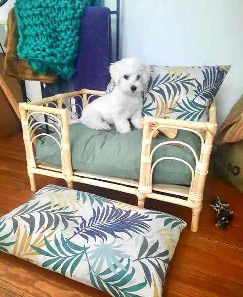 COMBO 1 "Cucha Presidencial + Colchón Simmons + Funda de regalo 50x70cm"