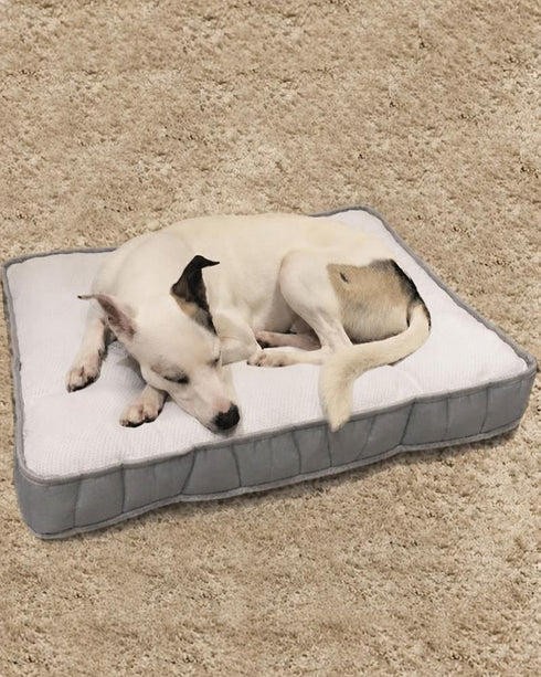 Colchón Premium Simmons para Perros (50x70 cm) + Funda de regalo