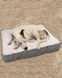 Colchón Premium Simmons para Perros (50x70 cm) + Funda de regalo