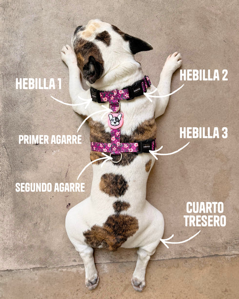 Pretal Freestyle Rocky Negro