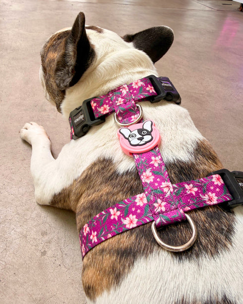 Pretal Freestyle Rocky Negro