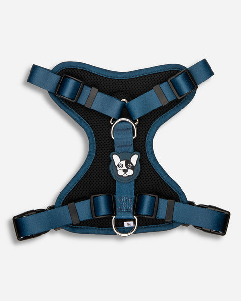 Arnes Doble Agarre Azul (acero)