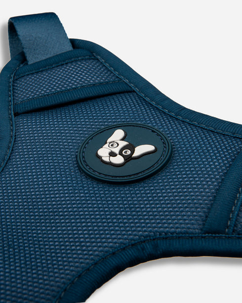 Arnes Doble Agarre Azul (acero)