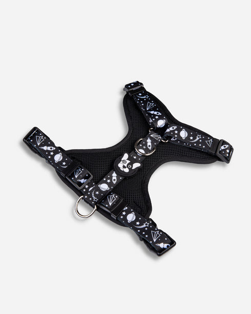 Arnes Doble Agarre Apolo Black