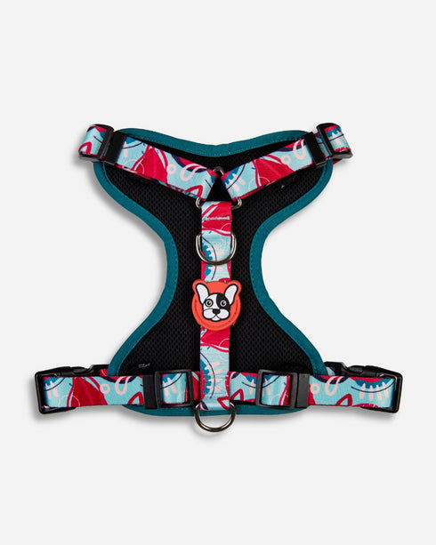 Arnés Doble Agarre Piñata