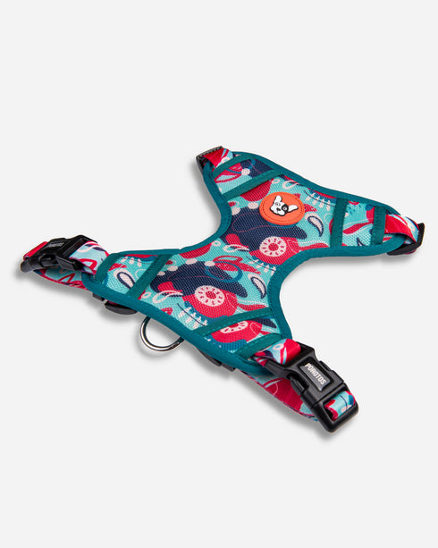 Arnés Doble Agarre Piñata