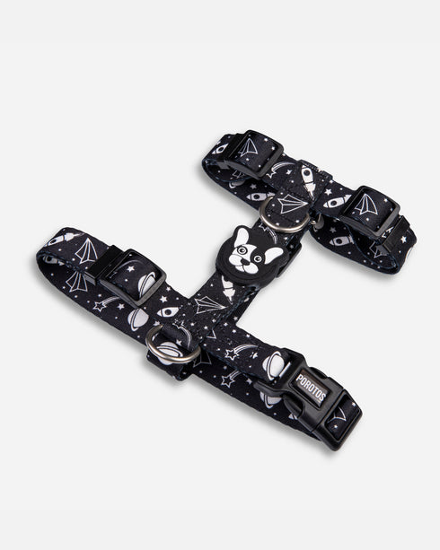 Pretal Doble Agarre Apolo + Guía PDF "La Magia del Paseo Diario" de REGALO