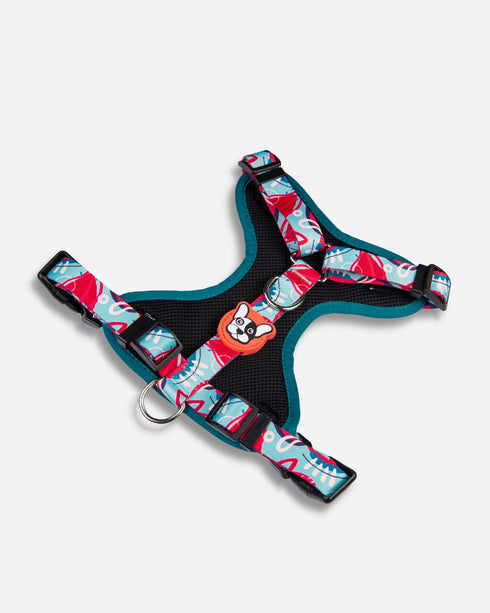 Arnés Doble Agarre Piñata