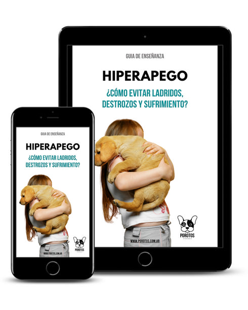 Guía en PDF: Hiperapego, ¿cómo evitar ladridos, destrozos y sufrimiento?