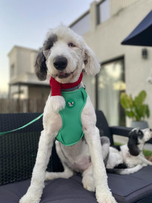 Arnes Doble Agarre Verde