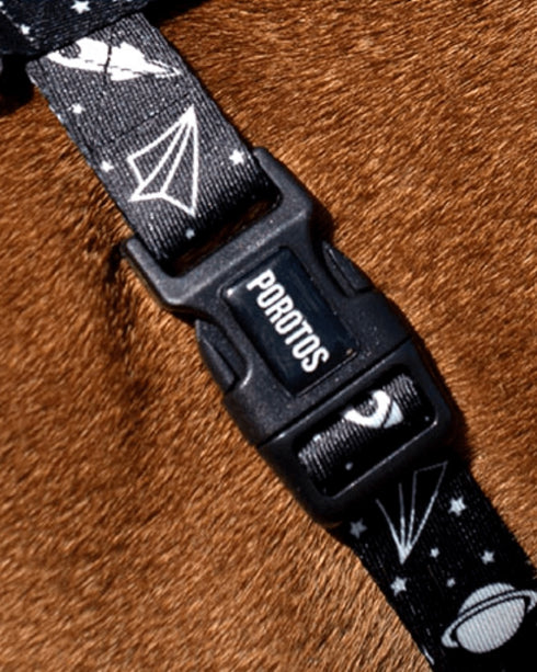 Pretal Doble Agarre Apolo + Guía PDF "La Magia del Paseo Diario" de REGALO