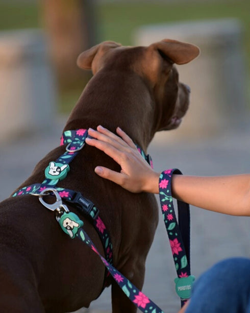 Pretal Doble Agarre Floral + Guía PDF "La Magia del Paseo Diario" de REGALO