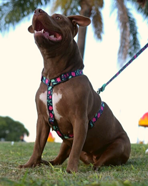 Pretal Doble Agarre Floral + Guía PDF "La Magia del Paseo Diario" de REGALO