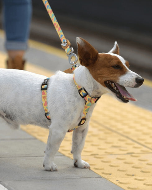 Pretal Doble Agarre Guiza