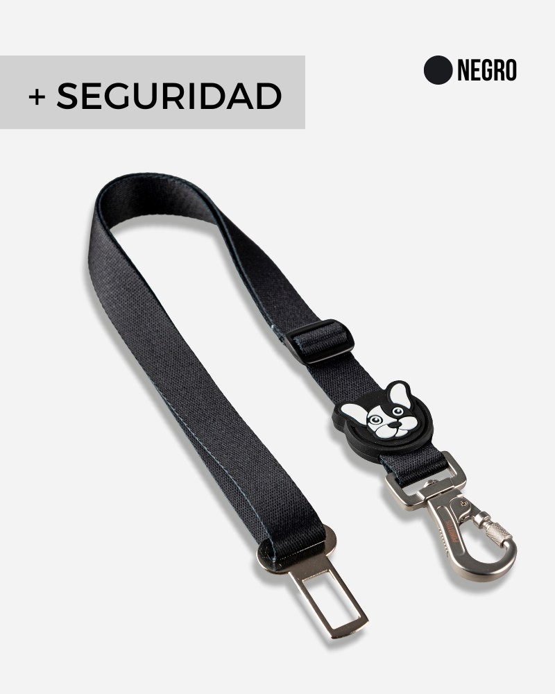 Cinturón de seguridad (Mosqueton con traba)